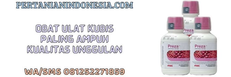 obat,pestisida,insektisida,paling ampuh,hama